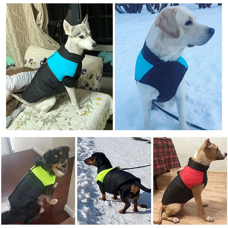 Waterproof Winter Dog Coat - Warm Vest Jacket for Small, Medium, Large & XL Dogs