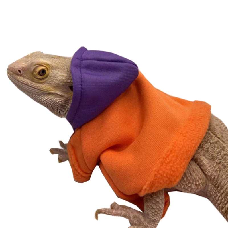 Bearded Dragon Hoodie Jacket - Handmade Warm Coat Costume for Reptiles & Small Pets
