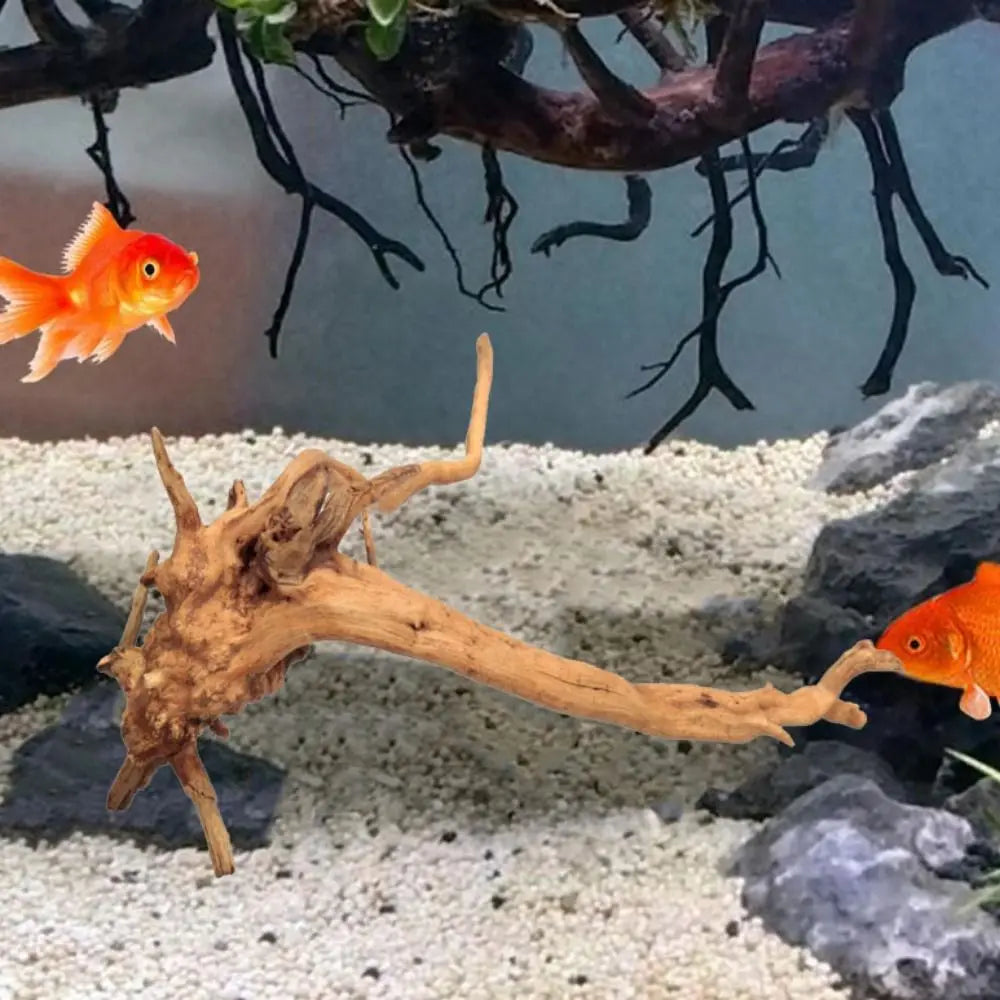 Large Natural Driftwood for Aquariums - 6-8 Inch Fish Tank Decoration & Aquascape Wood